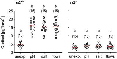 Altered glucocorticoid reactivity and behavioral phenotype in rx3-/- larval zebrafish